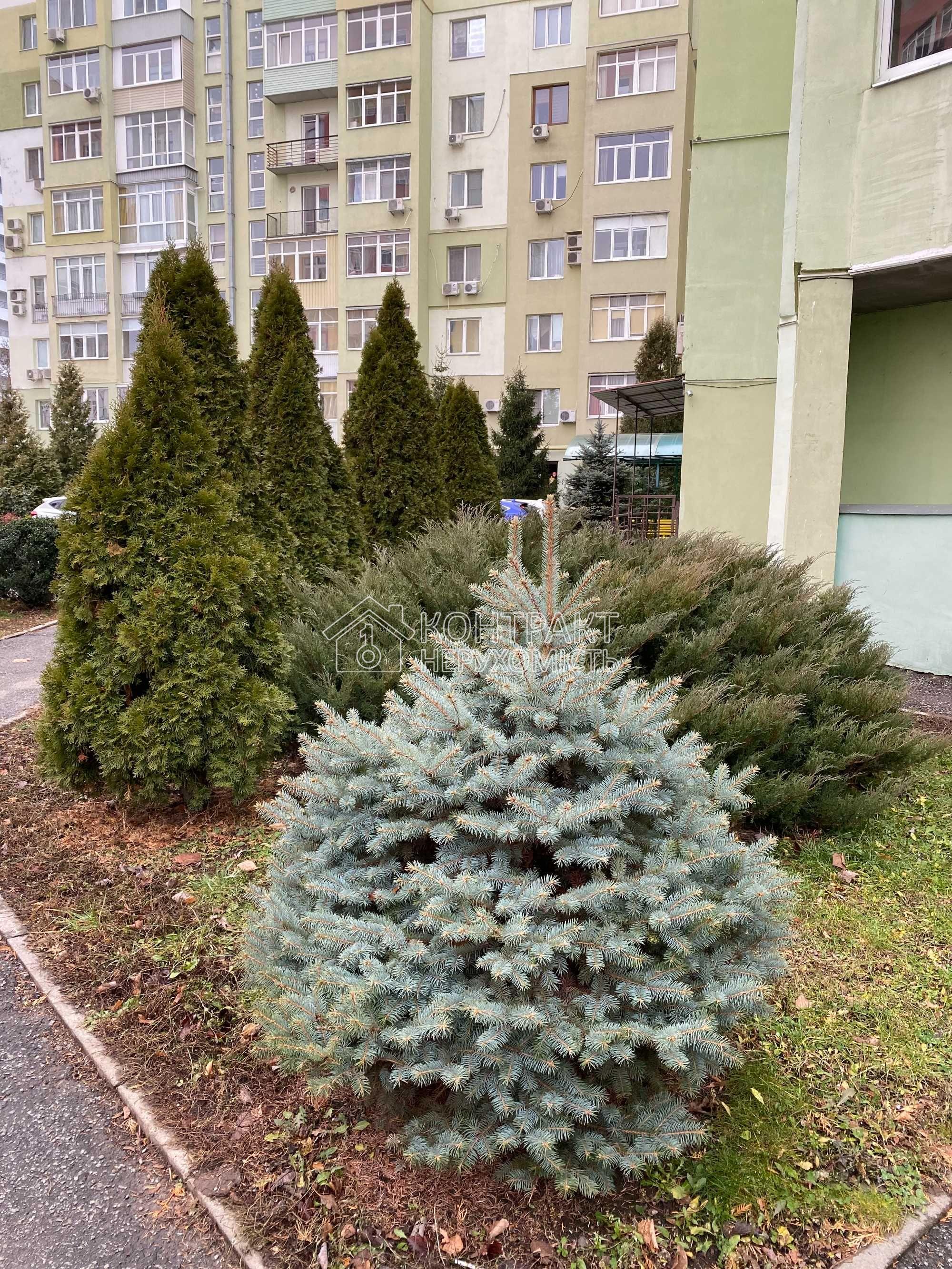 кімната