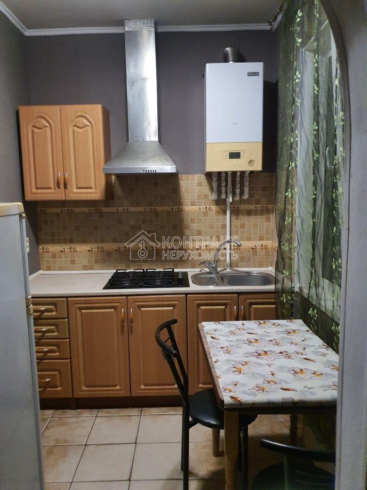 Сдам дом пр.Аэрокосмічний (Гагаріна), Державінська
