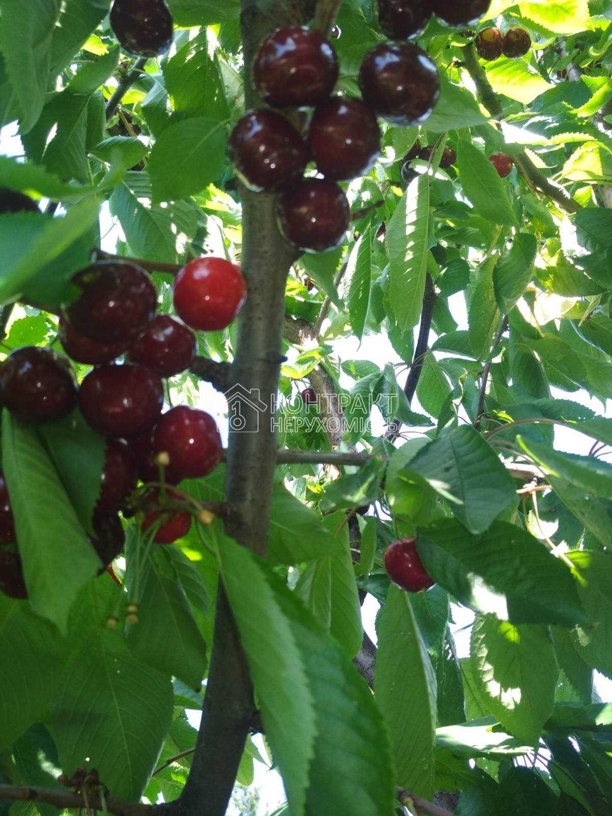 Продам частину будинку Холодна Гора