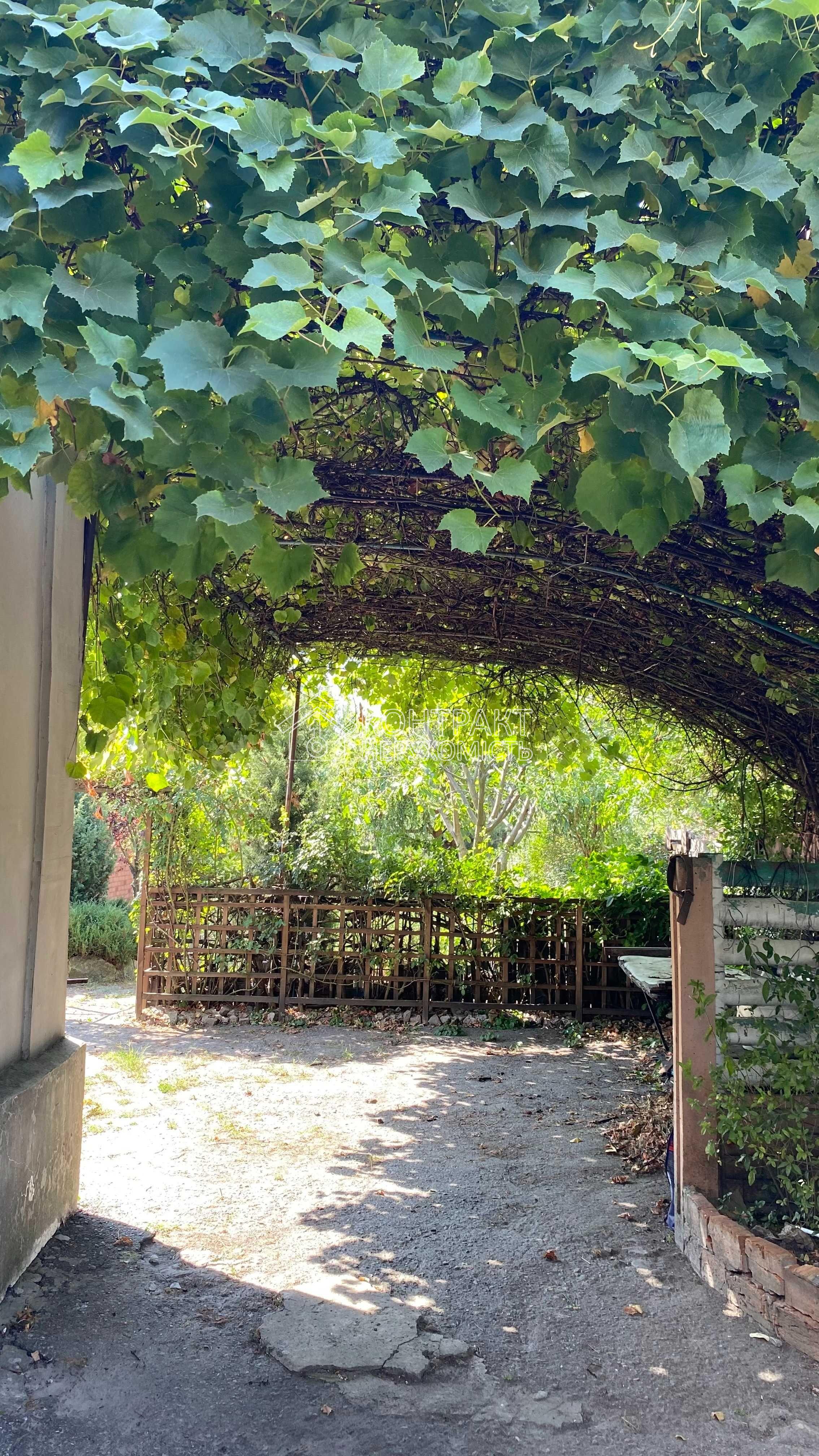 кімната