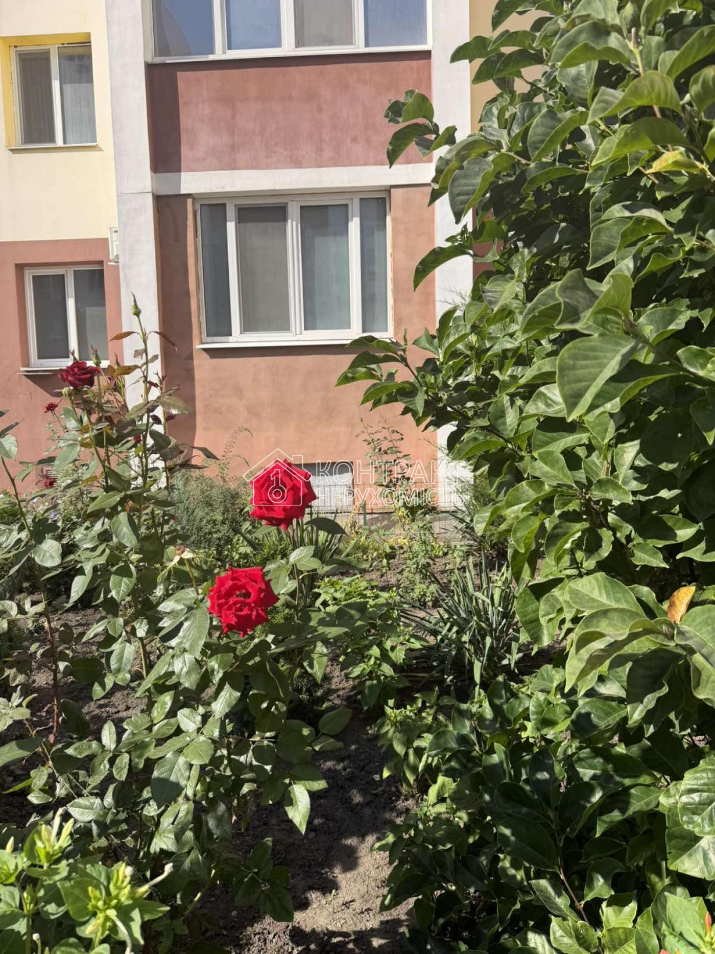 кімната