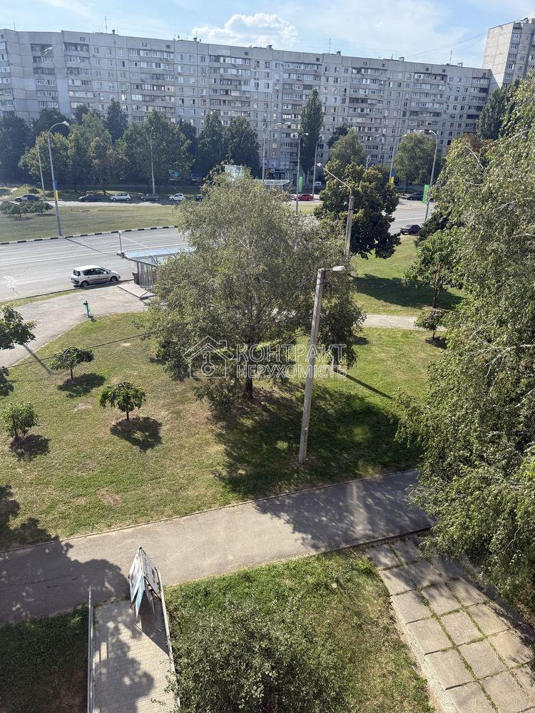Здам 1 к квартиру Олексіївка