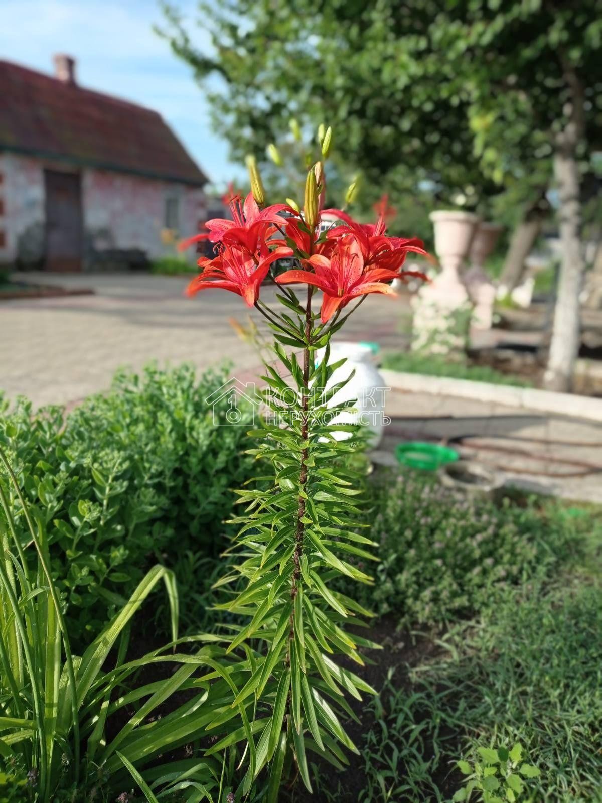 кімната