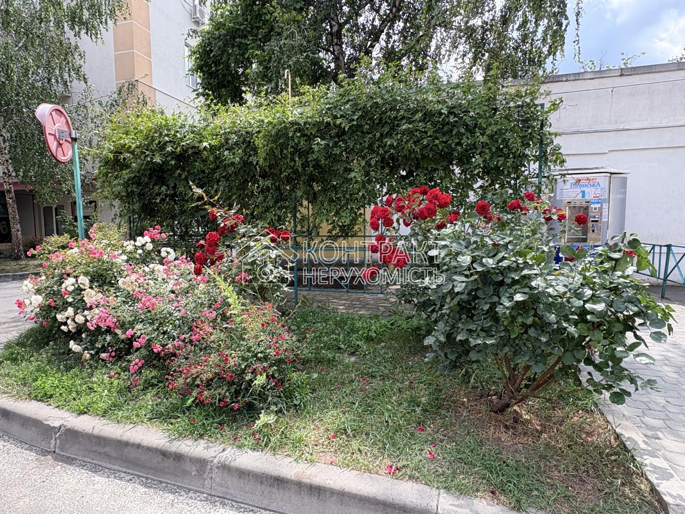 кімната