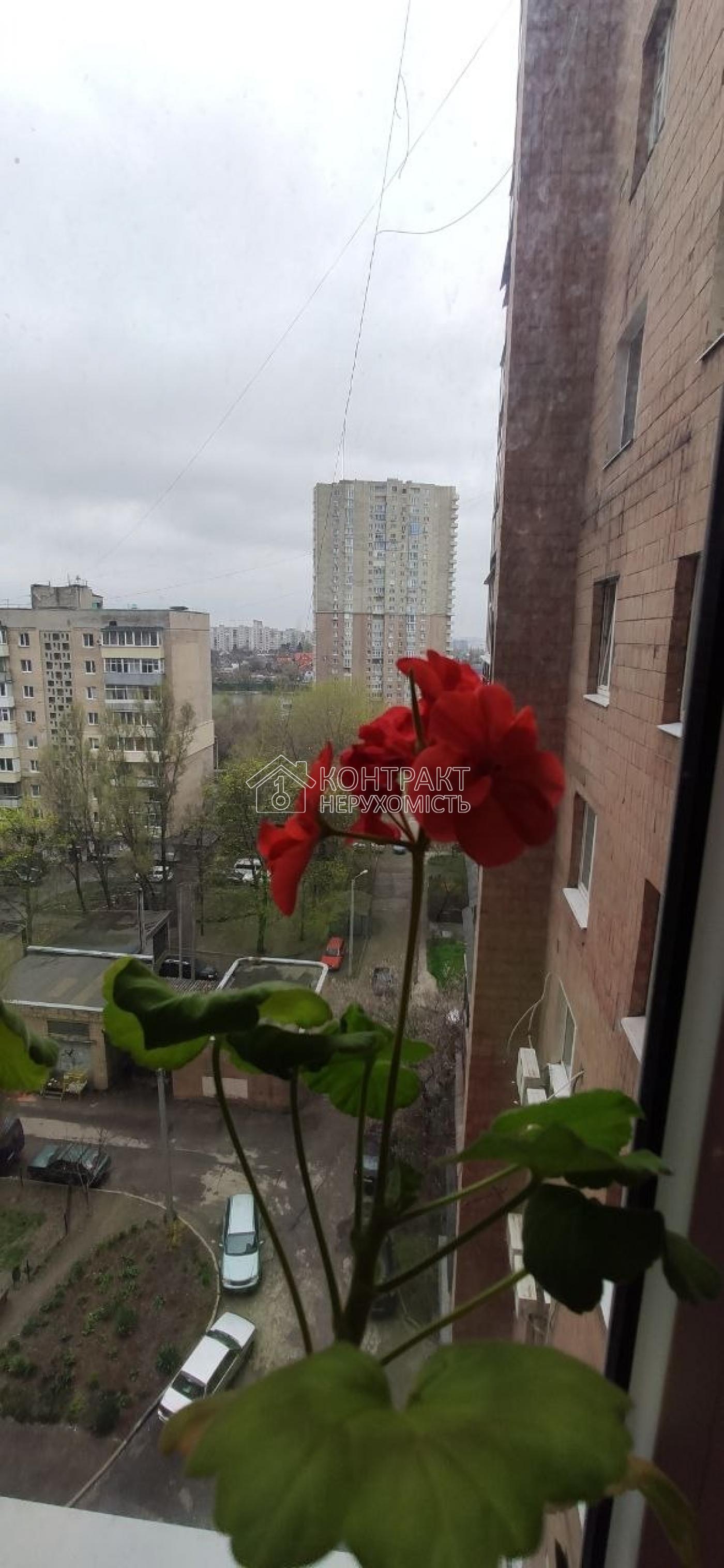 кімната