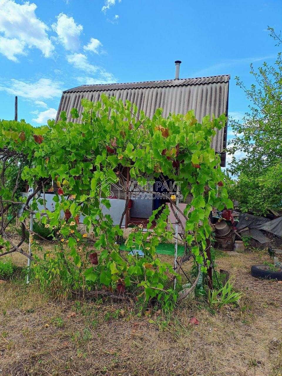 Продаж дачного будинка із земельною ділянкою на «Світанку« («Рассвет«).
