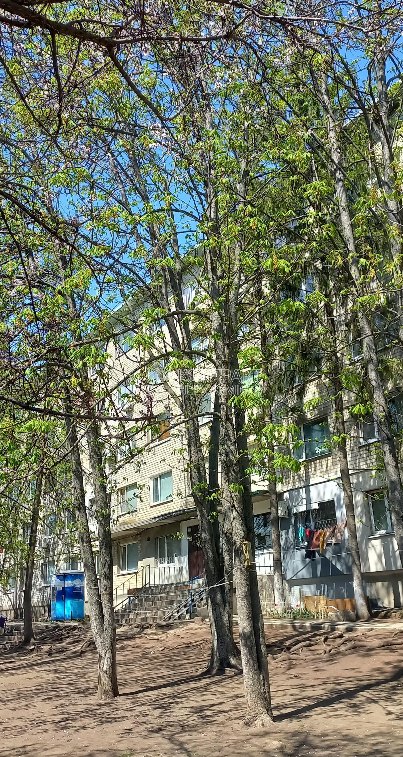 кімната