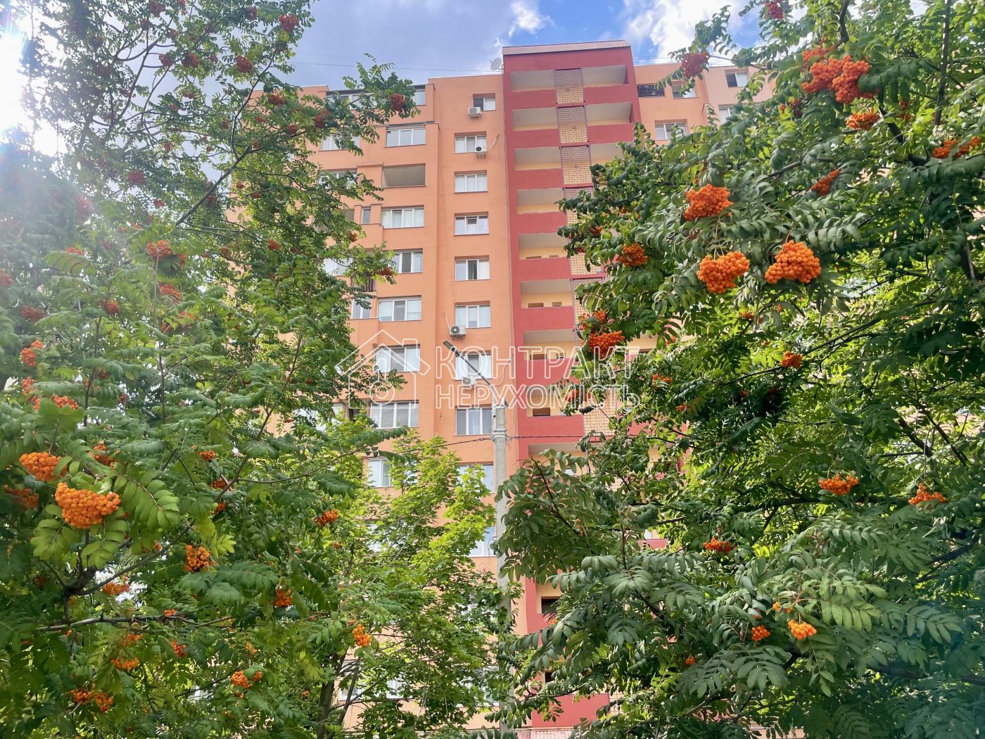 кімната