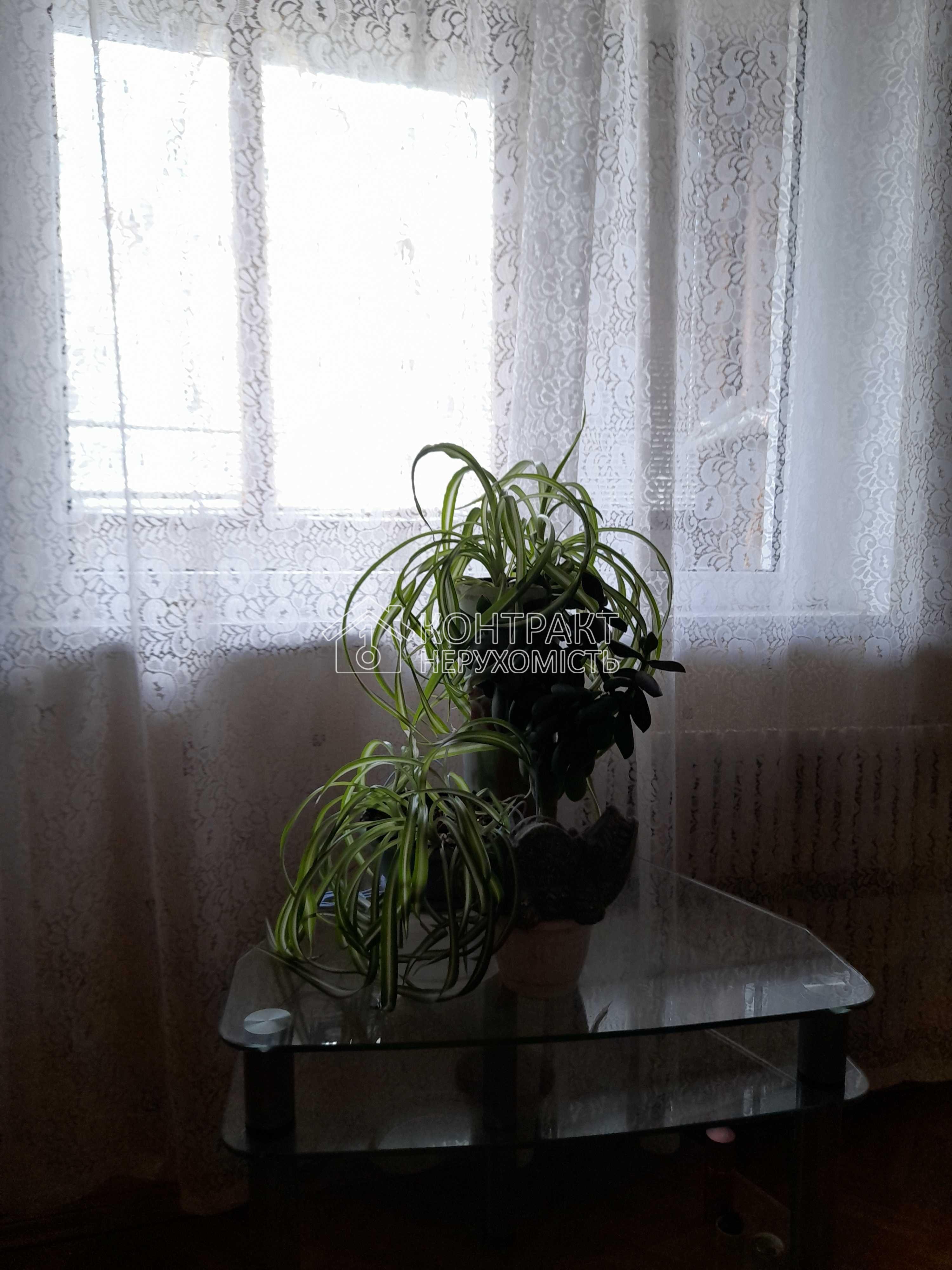 Здам 2 к квартиру Олексіївка