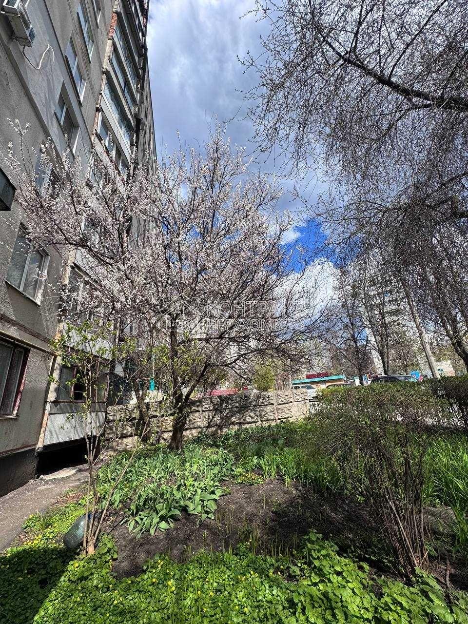 кімната