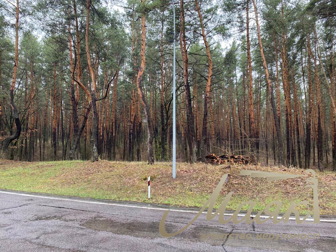 Продаж. Земля під інд. Будівництво, вул. Берегова, Козин