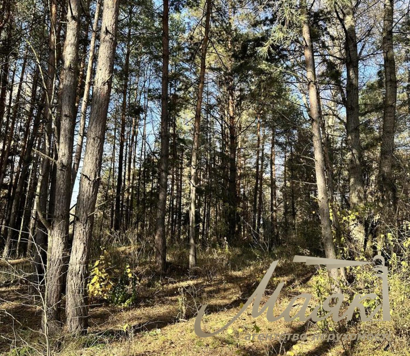 Продаж земельної ділянки 2,8 Га в лісовій частині Нової Ходосівки