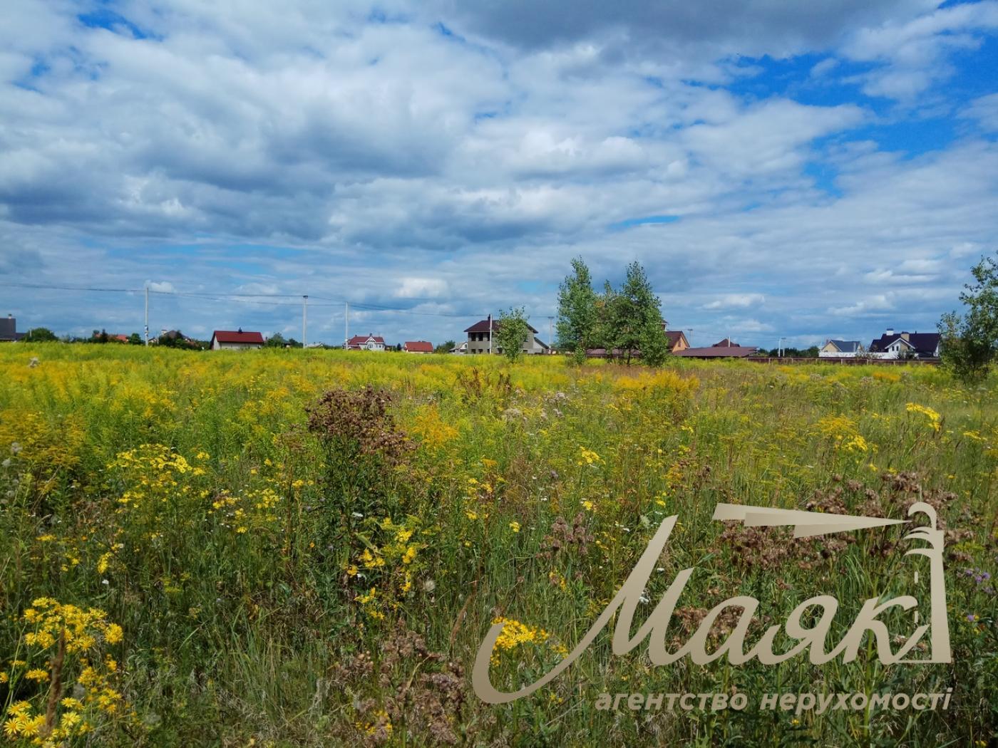 Продажа земельного участка 1,3 га под коттеджный городок, Вышгород, с. Рожны, Броварской район, Киевская область