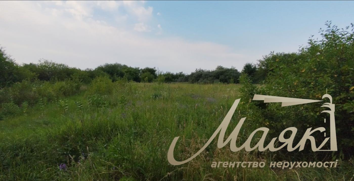 Land for sale: 25 sotok, Kuchakov Village, Boryspil District