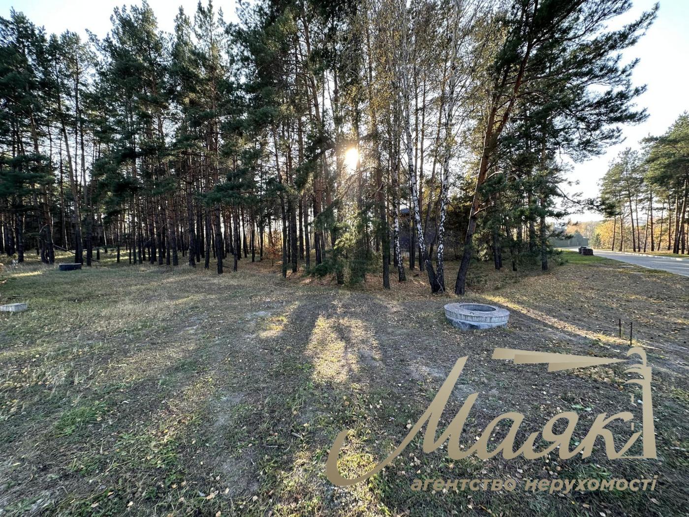 Продажа земли в лесу в районе Конча-Заспа. Козин село в городке