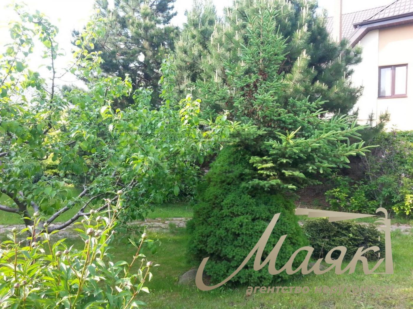 Продаж будинку Лісники 550м2, продаж будинку зі сховищем