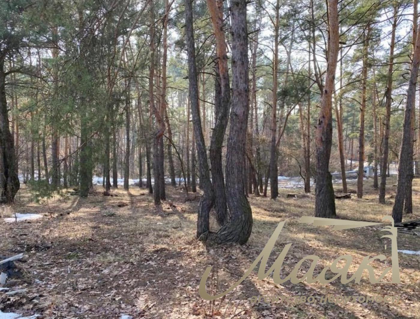 Продаж. Земля під інд. Будівництво, вул. Берегова, Козин