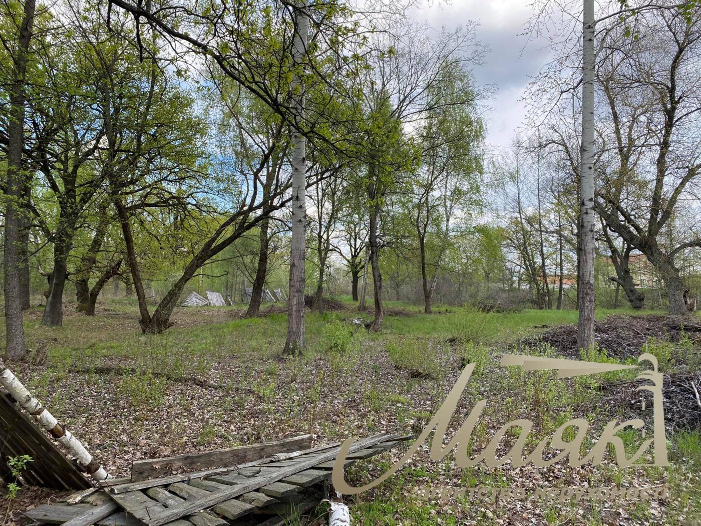 Продаж землі під інд. будівництво в лісі. село Білогородка.