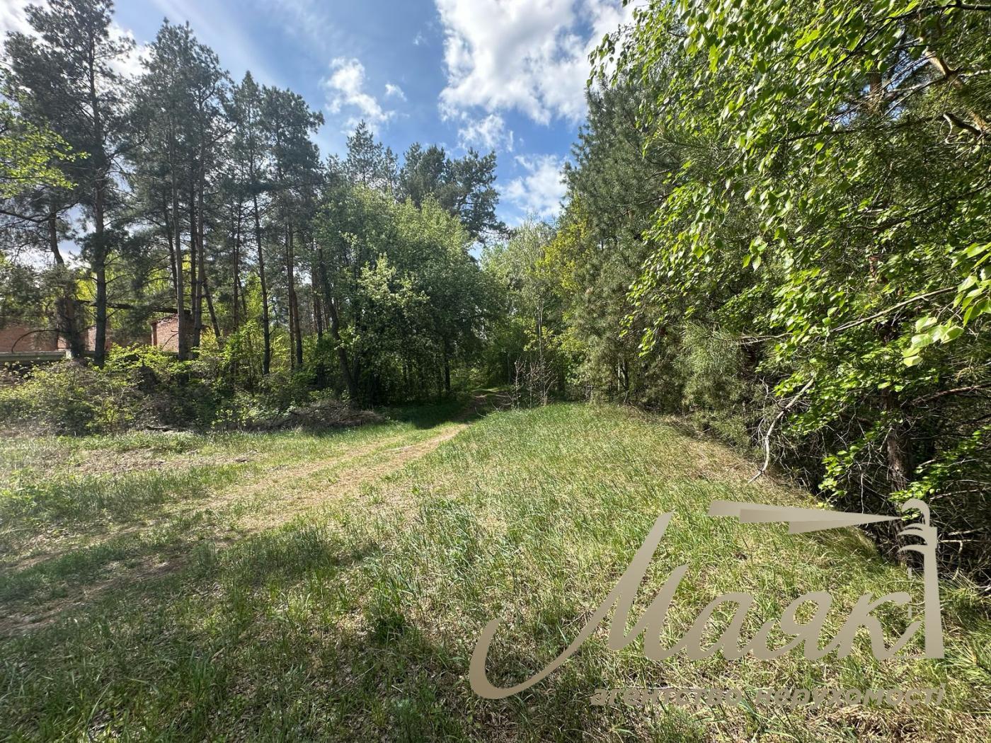 Продажа участка в лесу в городе Конча-Заспа. КГ Сосновый Бор.