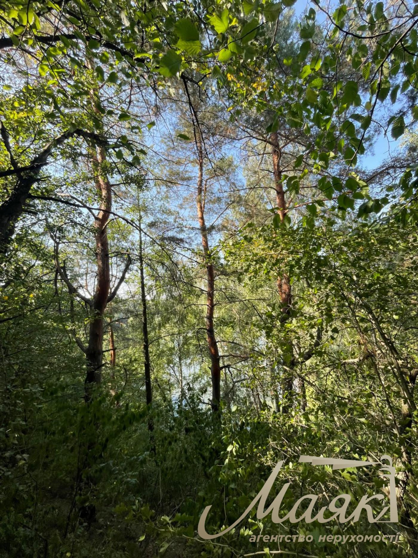 Продаж видової ділянки 15 соток під індивідуальну забудову/будинку в с. Лісники, Обухівський район, Київська область