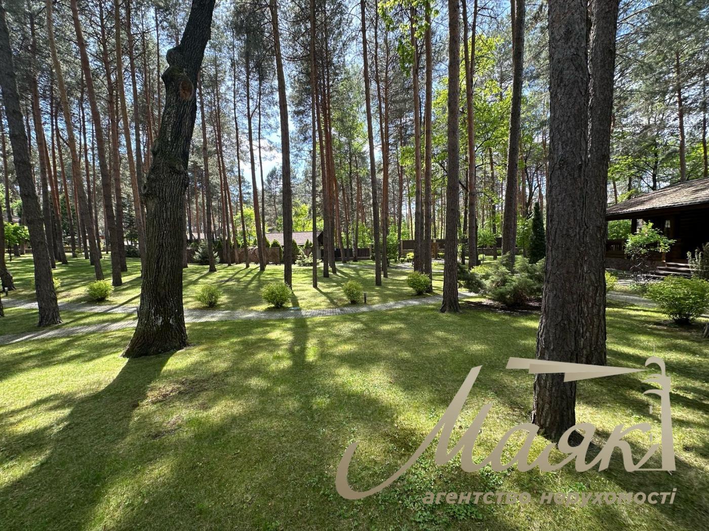 Продажа участка в лесу в городе Конча-Заспа. село Козин
