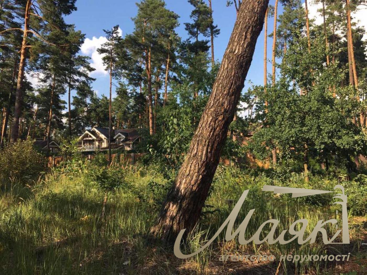 Продаж ділянок під будівництво. Село Старі Безрадичі