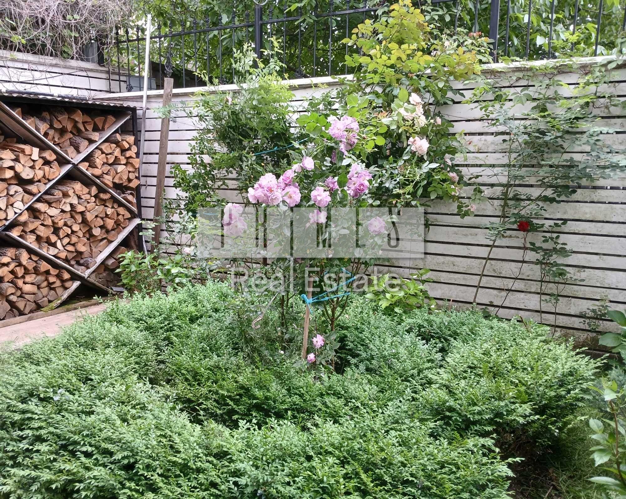 66beed98785e3226d407f145