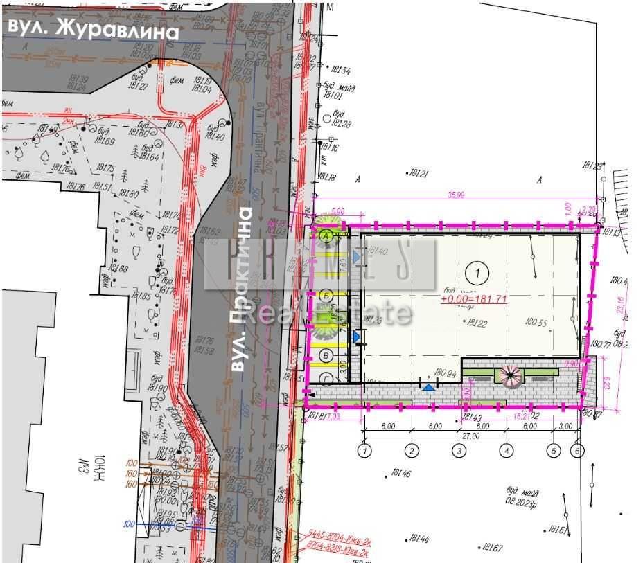 66beed98785e3226d407f145