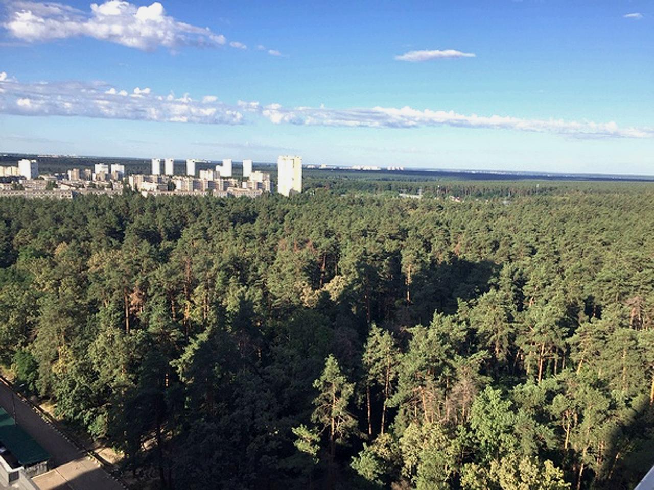 Rent out 2-room apartment. Киев, Клавдиевская , д. 40д — photo 3